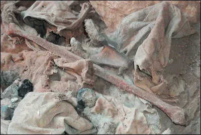 En 2022 (eh oui, si tardivement), une enquête de la journaliste Claire Billet prouve que la France n'a pas toujours été bien ''propre''. Considérant que ce qui se passe n'est pas une guerre mais une intervention interne de police, elle fait fi des conventions de Genève en utilisant...