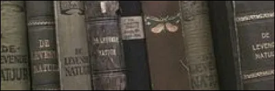 Lequel de ces mots n'appartient pas au champ lexical du champ lexical ?