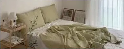 Lequel de ces mots appartient au champ lexical de la chambre ?