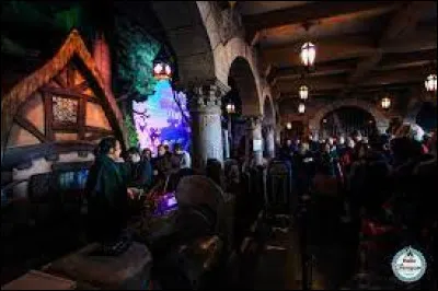 Pour quelle attraction ces gens font-ils la queue ?