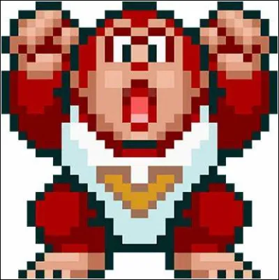 Quel est le nom de ce personnage ( attention piège )