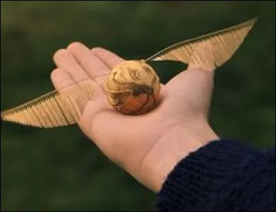 Dans ''Harry Potter à l'école des sorciers'', quelle est la particularité du Vif d'or que Harry attrape lors de son premier match de Quidditch à Poudlard ?