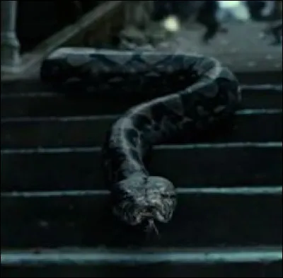 Dans ''Harry Potter et les Reliques de la mort, partie 2'', qui accompagne Neville Londubat dans la destruction du dernier Horcruxe, Nagini ?