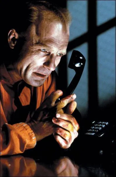 Quel est le seule thme qui n'est pas abord dans 'Juste Cause' (1995) ?