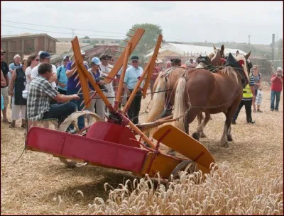 Eau forte, c'est la...