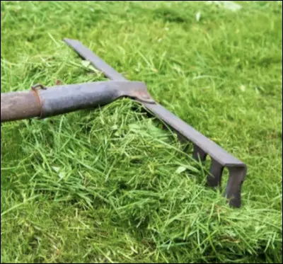 Aimez-vous lodeur de lherbe fraichement coupée ?