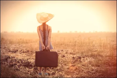 Dans sa chanson "Je suis venu te dire que je m'en vais", sortie en 1974, Serge Gainsbourg cite le poète Paul Verlaine.