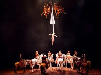 Quel est le nom de ce cirque qui réinvente le spectacle équestre ?