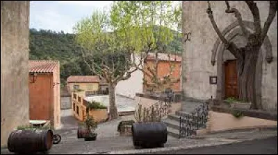 Petit village de 47 habitants, dans les Corbières et au pied du Mont Tauch, Maisons se situe dans le département ...
