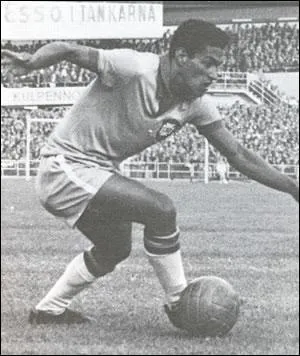 Ailier incomparable du dribble et du centre, hros des coupes du monde 1958 et 1962... c'est ?