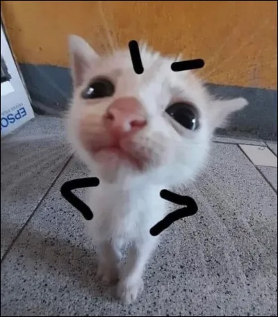 Combien étaient-ils à leurs débuts ?