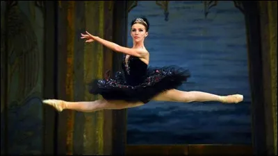 "Passionnées de danse classique, Emma et 
Capucine sont unies par un même rêve : devenir danseuses étoile
À quel livre appartient ce résumé ?