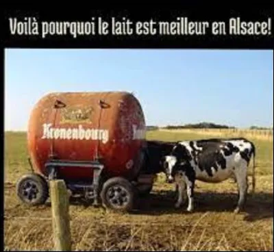 Quel est le premier producteur de lait au monde ?
