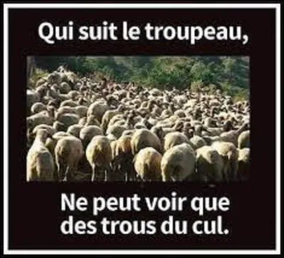 Comment dit-on ''mouton'' en espagnol ?