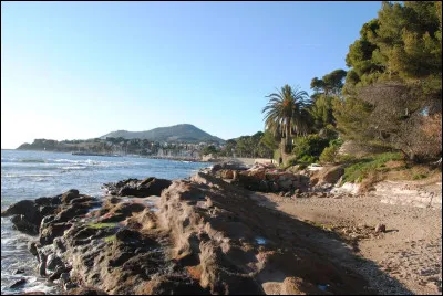 Quelle lettre faut-il remplacer pour obtenir une dévastation ?