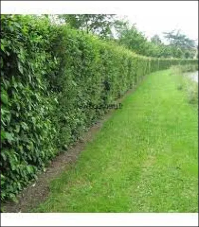 Quelle lettre faut-il ajouter pour obtenir une profonde aversion ?