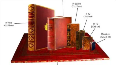 Que préfères-tu comme taille de romans ?