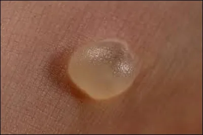 Quelle lettre faut-il enlever pour obtenir l'enveloppe d'un navire ?