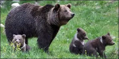 Quelle lettre faut-il ajouter pour obtenir une épreuve sportive ?