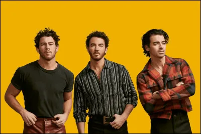 Et pour finir : qui a collaboré avec les Jonas Brothers ?