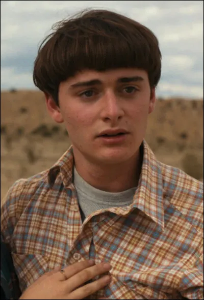 Le nom de lacteur qui joue Will est Noah Schnapp.