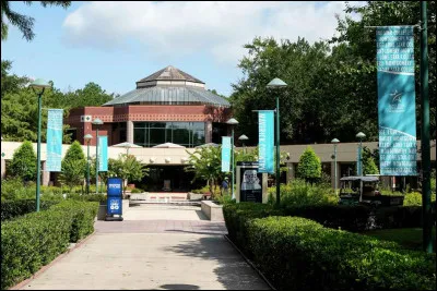 Que fais-tu après les cours ?