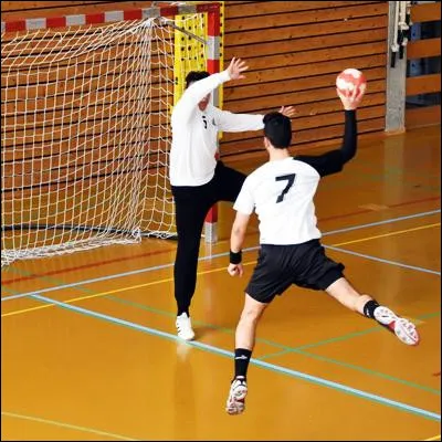 Quel handballeur français, détenteur de 10 titres avec léquipe nationale, a été élu à trois reprises meilleur handballeur mondial de lannée ?