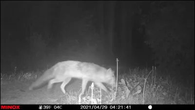 Associez cette photo à une réponse !