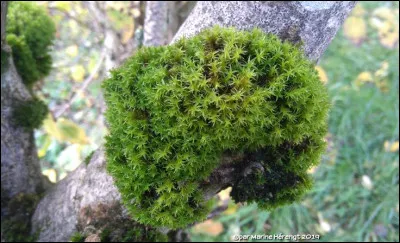 Trouvez, grâce à votre imagination, le nom d'un métier !