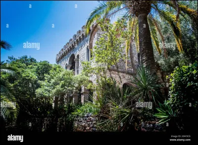 Aimes-tu la végétation ?