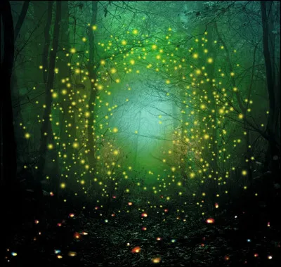 Comment dit-on "r&ecirc;ve" en anglais ?