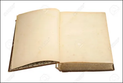 Quel est le premier livre qui a &eacute;t&eacute; imprim&eacute; en Europe ?