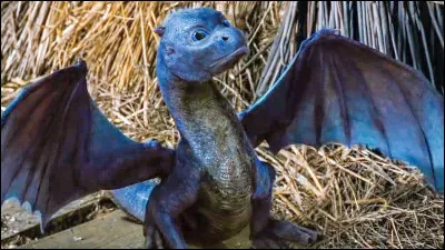 Qui est le puissant dragon bleu, fidèle au héros principal ?