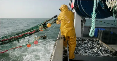 Quelle lettre faut-il remplacer pour obtenir un outil de jardinage ?
