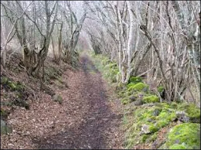 Quelle lettre faut-il remplacer pour obtenir quelqu'un qui vit de ses placements ?