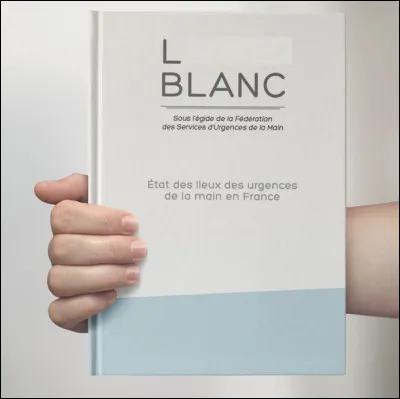Quel est le nom donné à un rapport qui donne des informations concises sur un sujet complexe ?