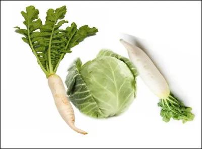 Que dit-on à propos d'une action qui se termine par un échec ?