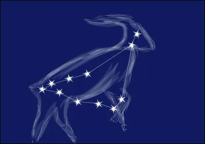 Quel est le signe astrologique d'une personne née le 31 décembre à 23 h 55 ?