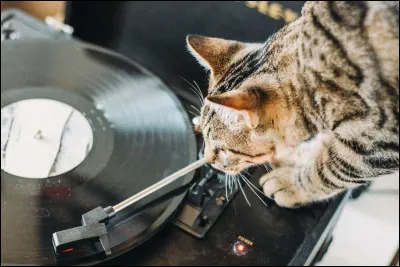 Pour finir, tu aimes la musique...