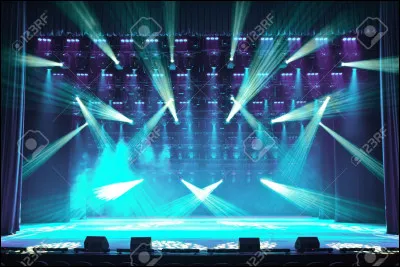 Tu préfères que l'artiste soit...