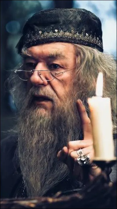 Que suffit-il de faire selon Dumbledore pour trouver le bonheur, même dans les moment les plus sombres ?