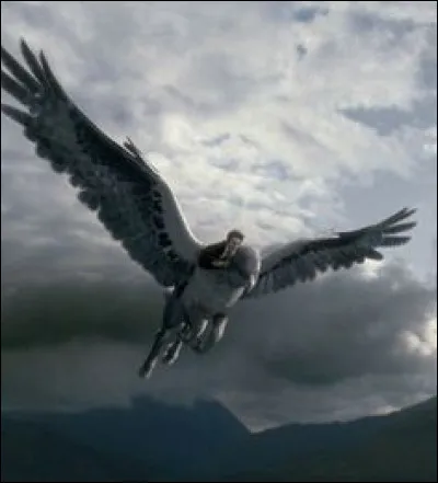 Comment s'appelle la créature ?