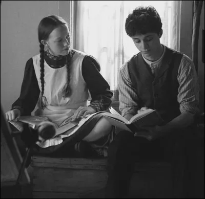 De quelle couleur est la robe dAnne lors de son premier baiser avec Gilbert ?