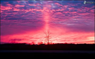 À qui appartient le titre "Pink Venom" ?