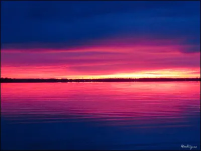 À qui appartient le titre "Queencard" ?