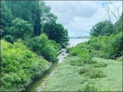Parmi ces quatre fruits, lequel est le nom d'une petite île située dans le département de la Loire-Atlantique ?