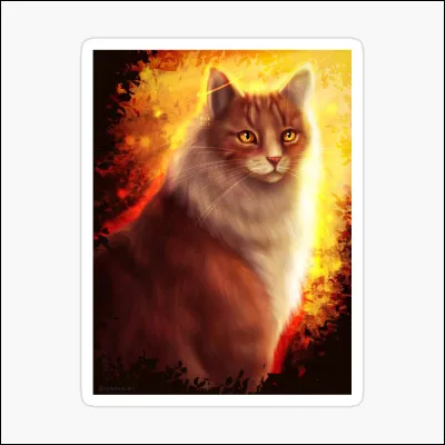 Où va-t-il aller après ?