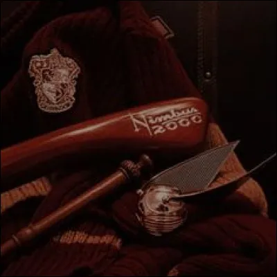 De combien de mètres Harry est-il tombé de son balai ?