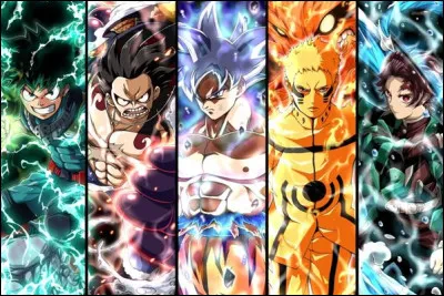 Et pour finir, quel est ton style préféré de mangas ?