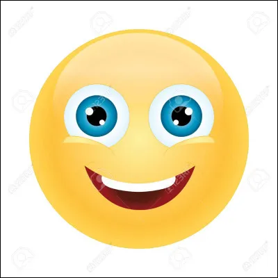 Quelle est ta principale qualit&eacute; ?